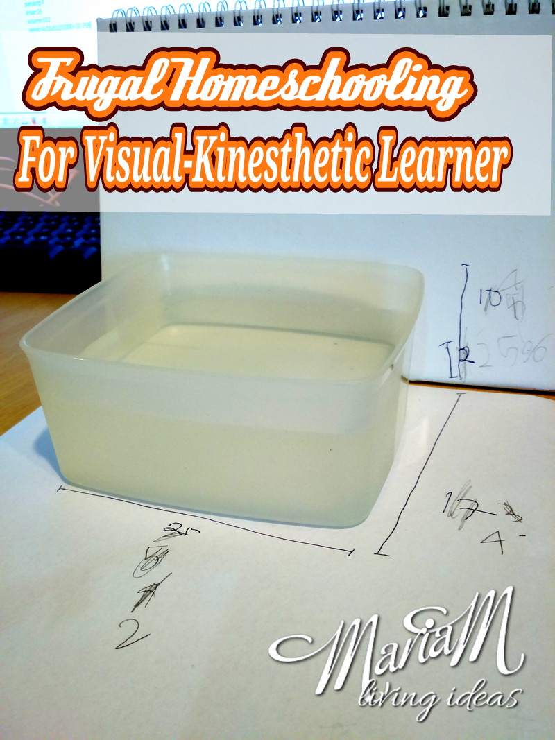 visual kinesthetic learner