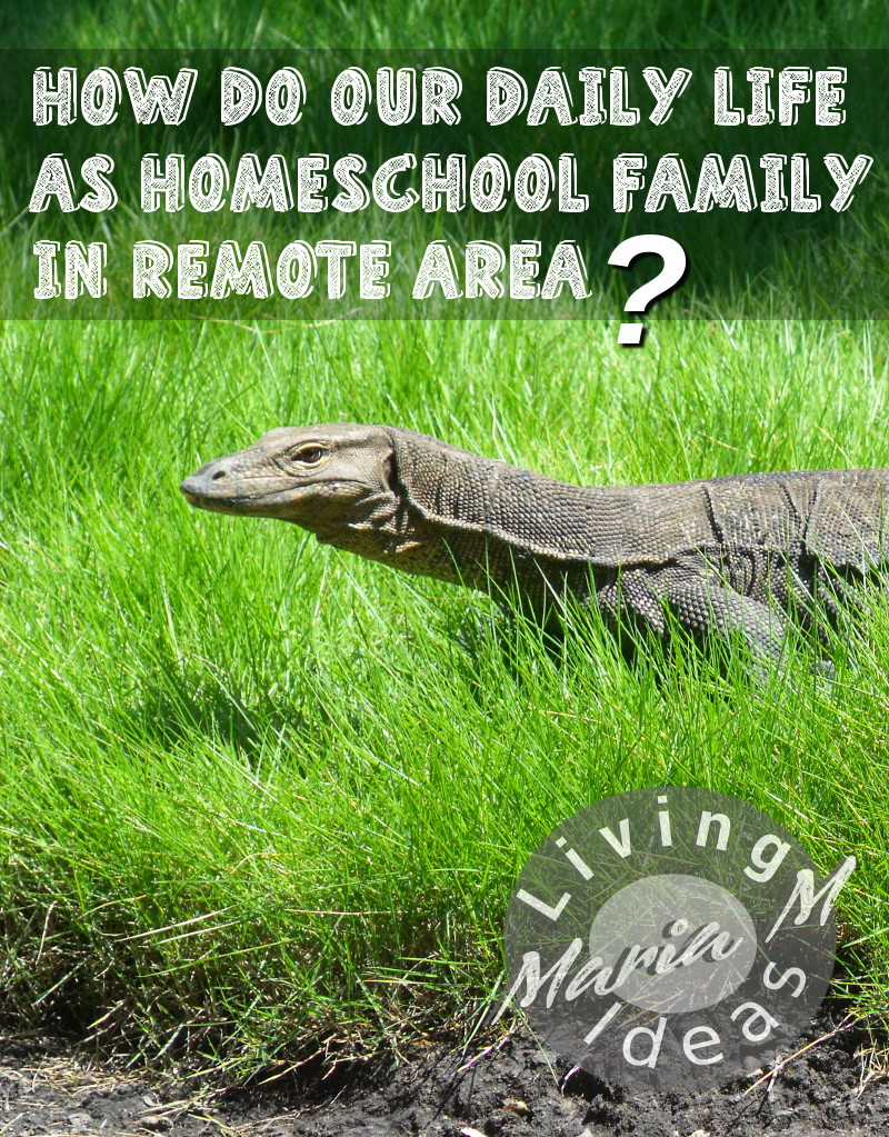 homeschooling in remote area