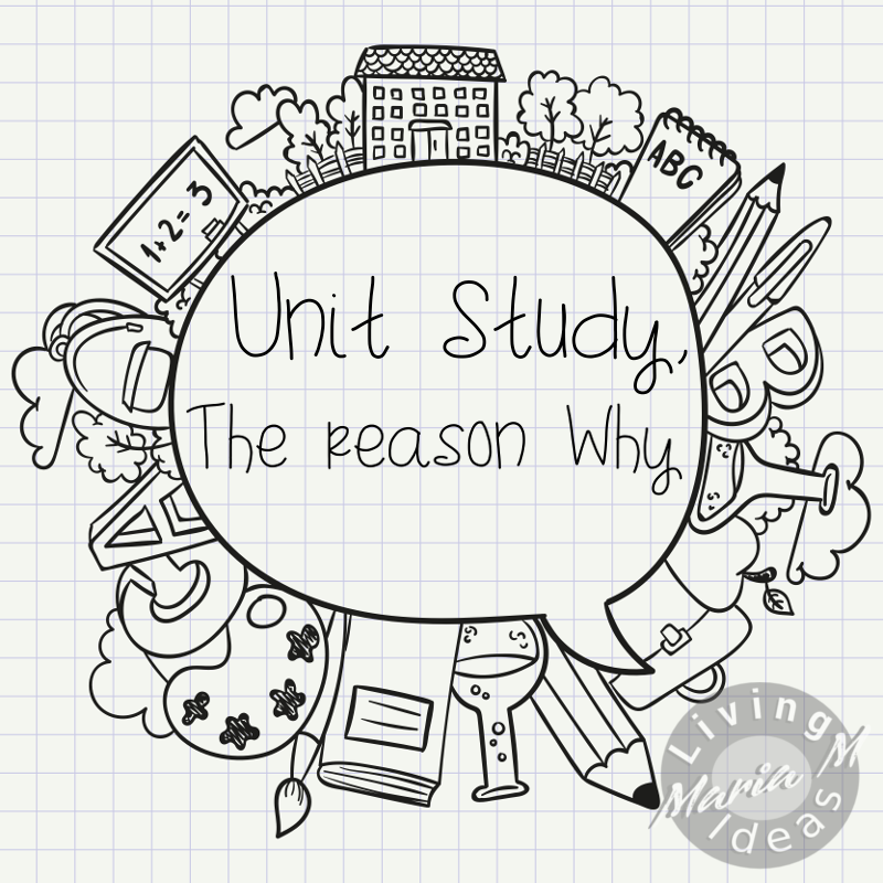 The Reason Why I Choose Unit Study
